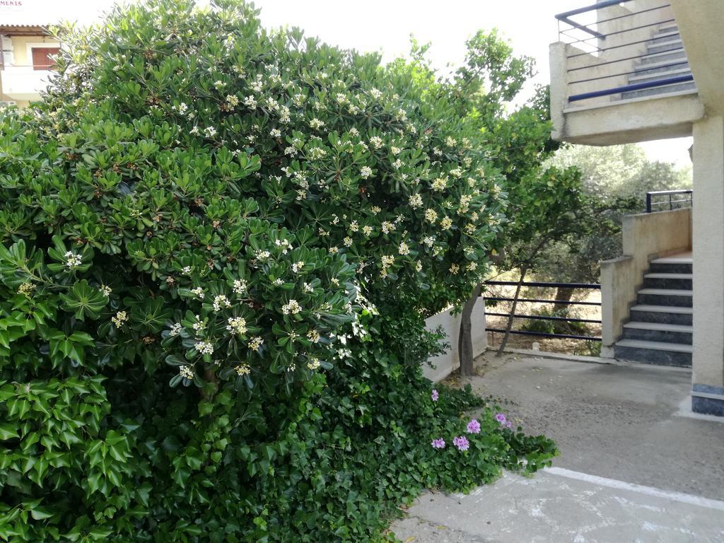 Pericles Studios Agia Marina  Buitenkant foto